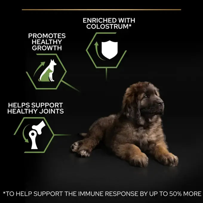طعام جاف Purina Pro Plan Healthy Start بالدجاج للجراء من السلالات الكبيرة، 3 كجم