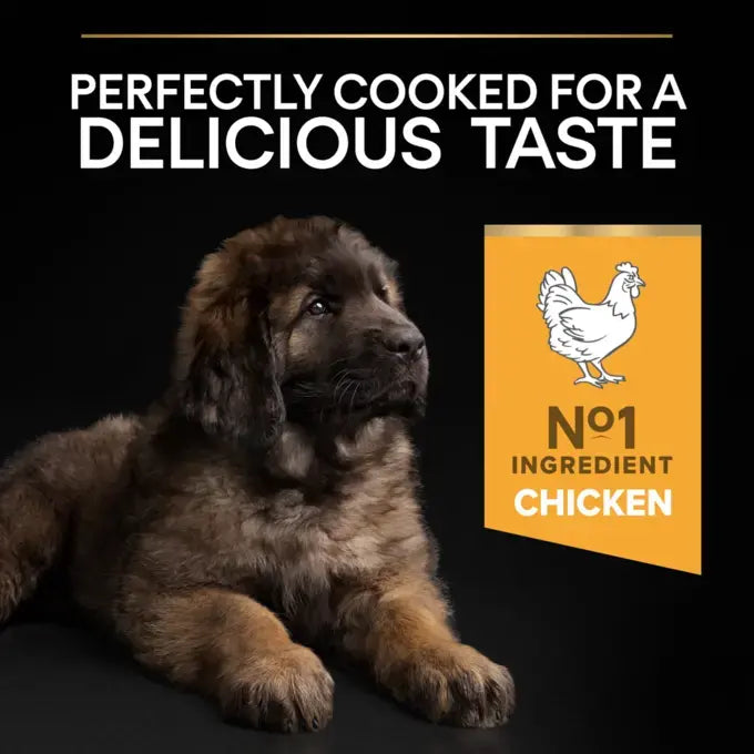 Purina Pro Plan Healthy Start Dry Food with Chicken for Large Breed Puppies 3 kg