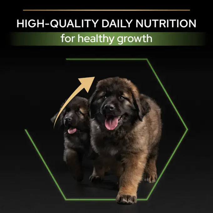 Purina Pro Plan Healthy Start Dry Food with Chicken for Large Breed Puppies 3 kg