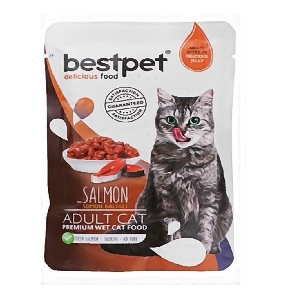 كيس طعام القطط البالغة من BestPet معلب بسمك السلمون 85 جرام