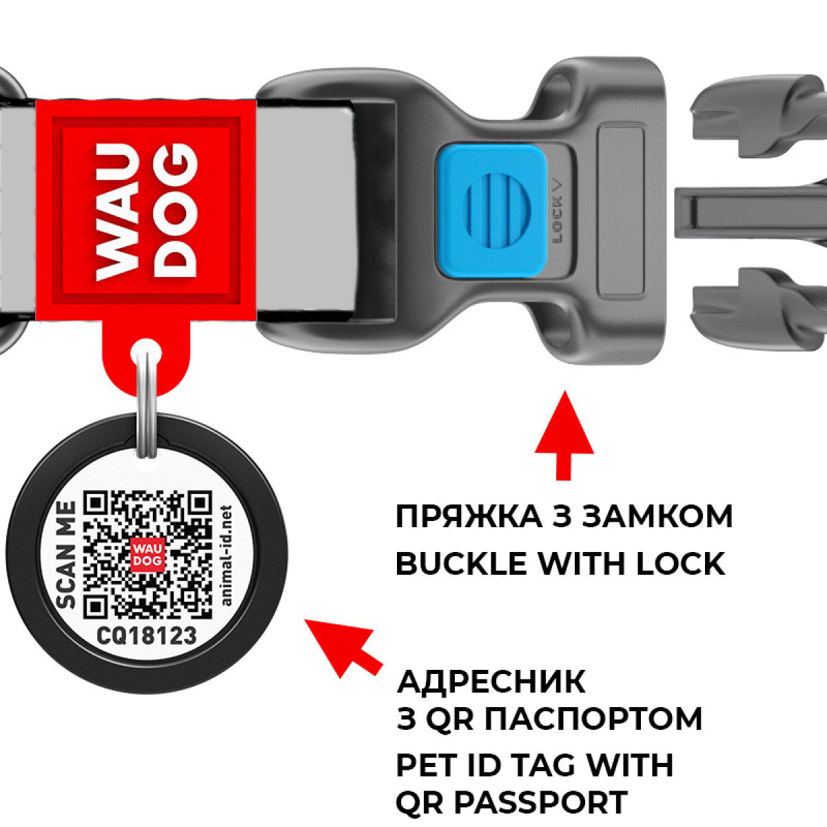 WauDog L Nylon dog collar Rick and Morty Print 31 to 49 in 2.5cm