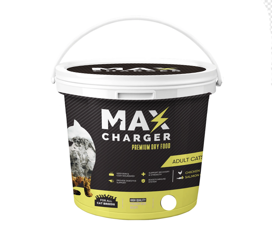 طعام جاف للقطط البالغة ألفا بالدجاج 1 كجم