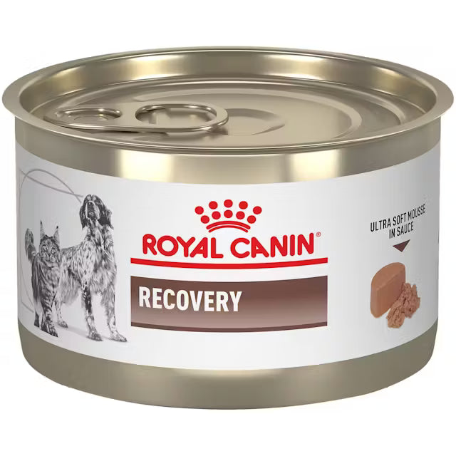 Royal Canin Recovery Ultra Soft Mousse Wet Food for Diabetic Pets 195 gr