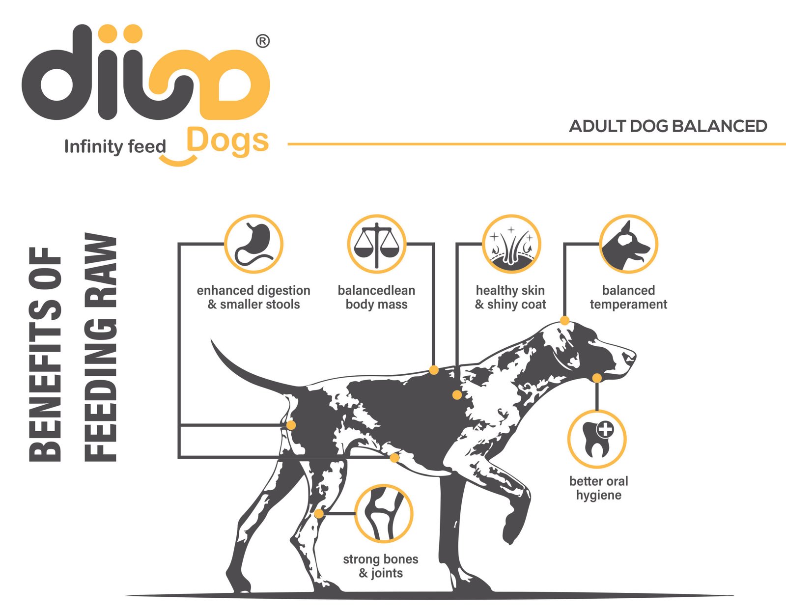 طعام جاف للكلاب البالغة من ديجا، 20 كجم
