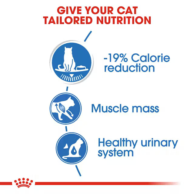 Royal Canin Light Weight Wet Food Slices in Gravy for Adult Cats 85 gr