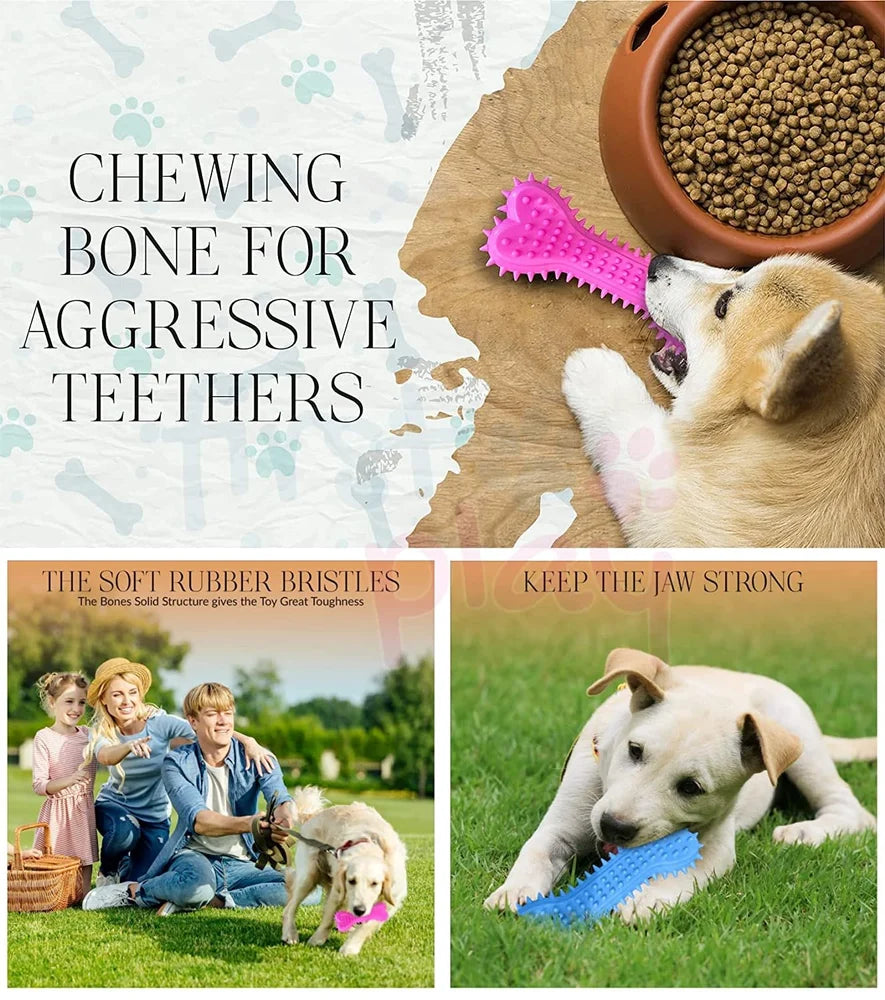 Pet Toy Bone for dog