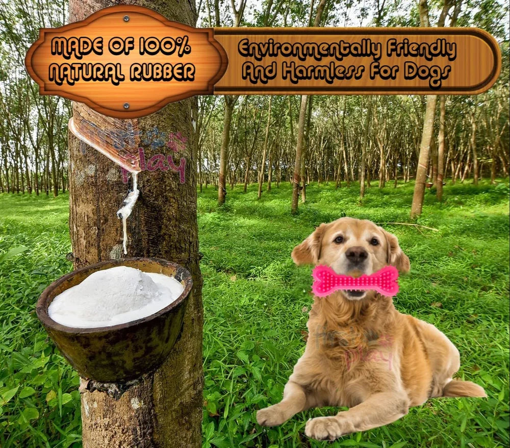 Pet Toy Bone for dog