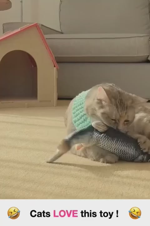 لعبة سمكة الحيوانات الأليفة من CAtyy بتصميم مختلط