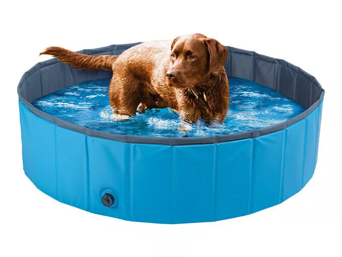 Zoofari Dog Swimming Pool