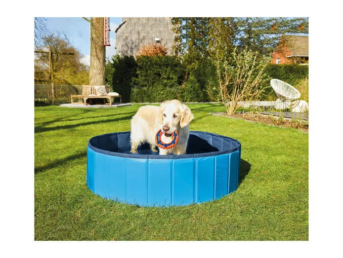 Zoofari Dog Swimming Pool