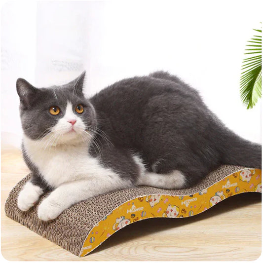 cat bowl with built in scratchers