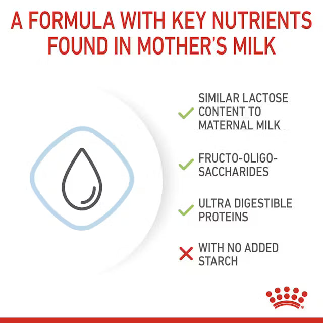 Royal Canin Baby Dog Instant Milk Powder with DHA for All Breeds 0-2 Months 400 gr