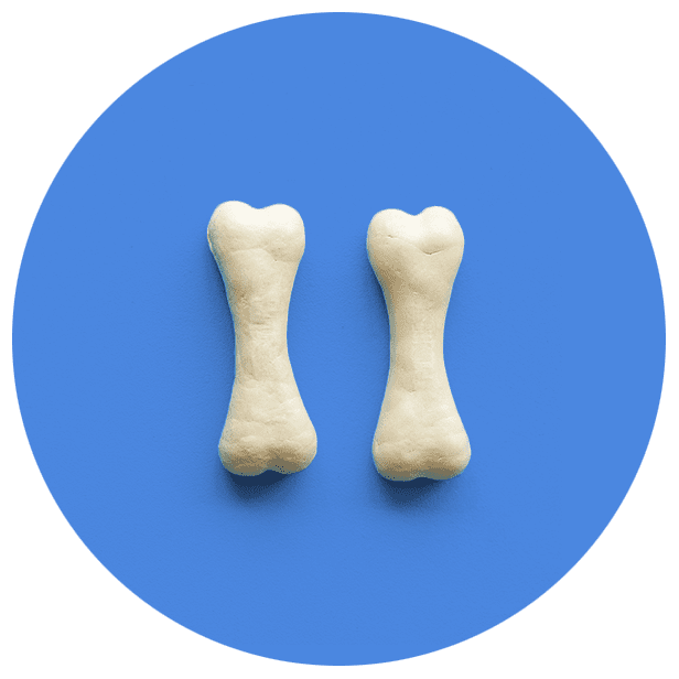 Dog Treats & Bones