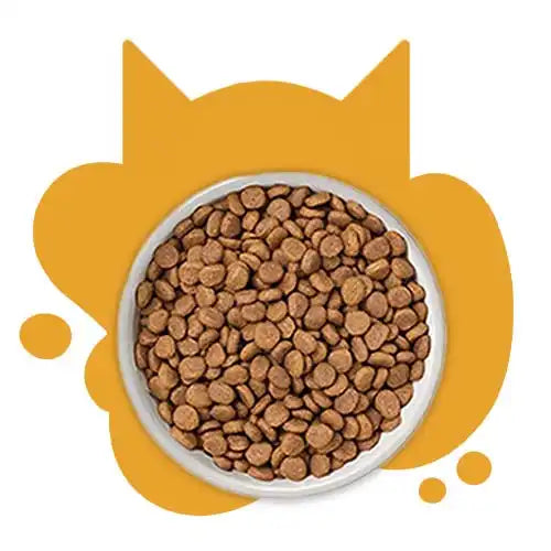 Dry Cat Food