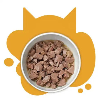 Wet Cat Food
