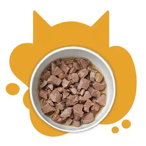 Wet Cat Food