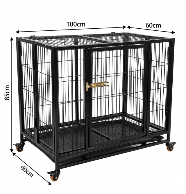 cages and playpen