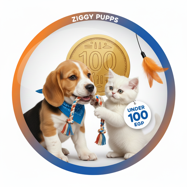 Under 100 EGP