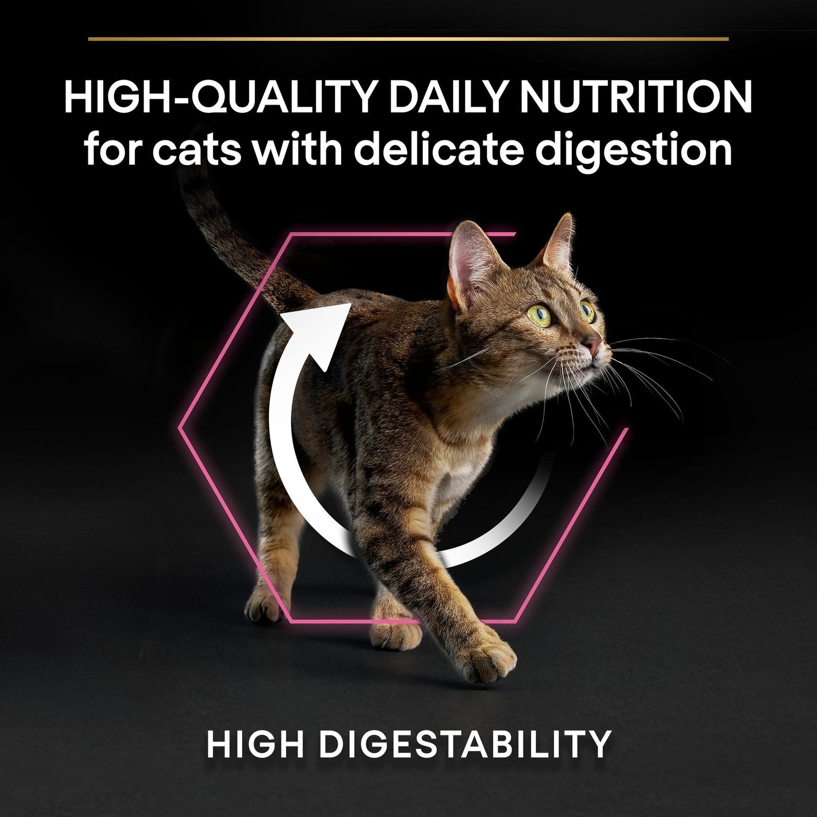 Purina Pro Plan Delicate Digestion Dry Food with Turkey for Adult Cats  1.5 kg