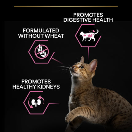 طعام جاف بورينا برو بلان أوبتي دايجست مع لحم الديك الرومي للقطط البالغة الحساسة 400 جرام 