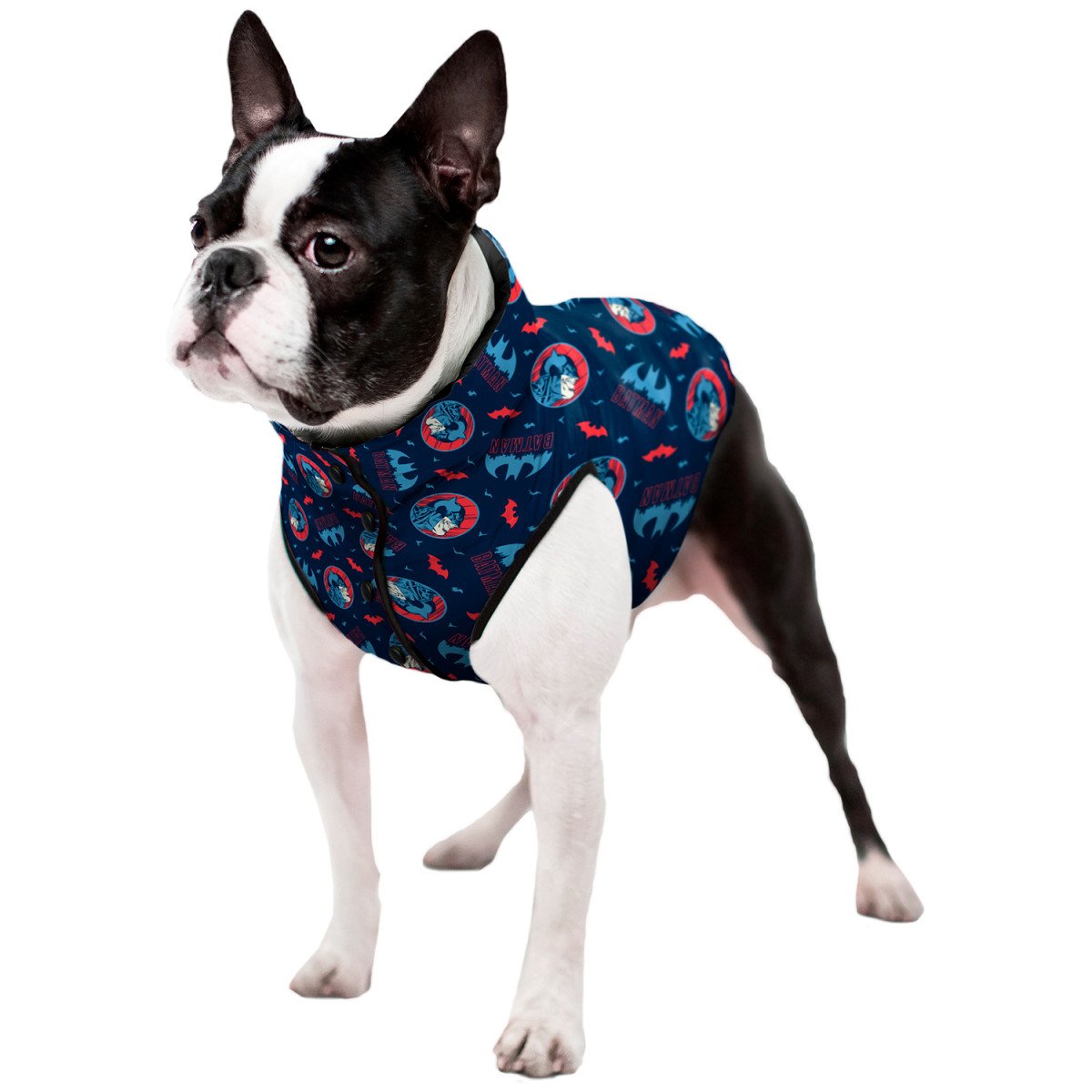 WAUDOG blanket Jacket-cape for dogs Batman Blue print small