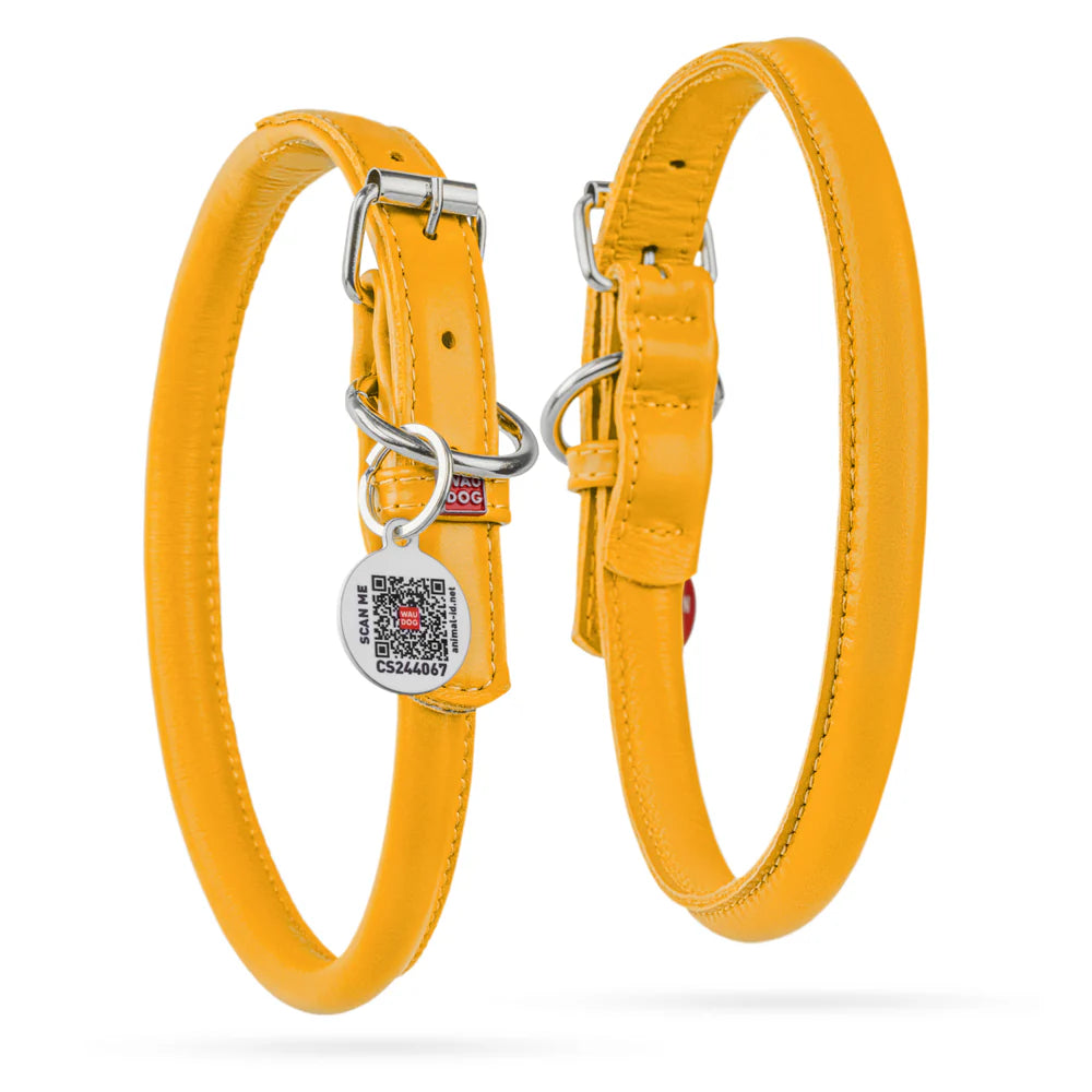 WAUDOG XL Rolled Leather Dog Collar Yellow with QR 53 to 61 in 1.3 cm