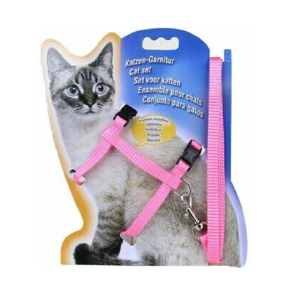 Harness And Leash For Cats On Card from hello mickey