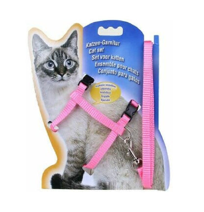 Harness And Leash For Cats On Card from katzen garnitur