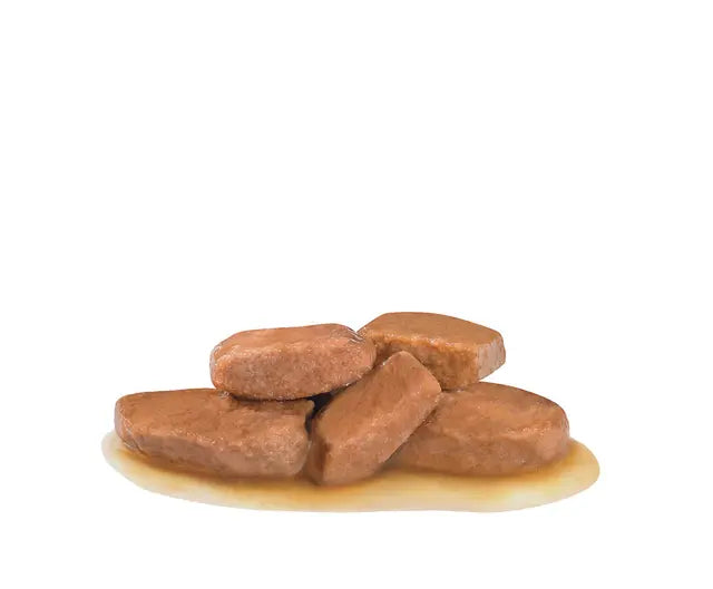 طعام القطط الرطب من رويال كانين دايجست سينسيتيف شرائح رقيقة في المرق 85 جرام 