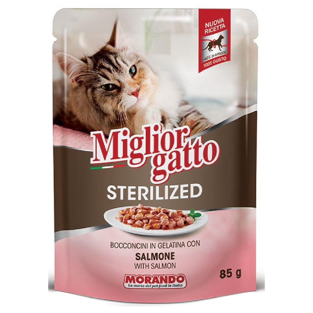 Miglior Gatto Wet Food with Delicate Salmon for Sterilized Cats 85 gr