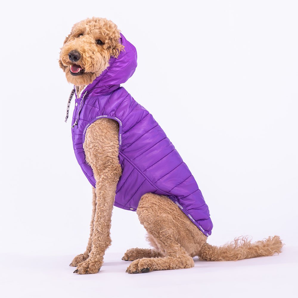 PAWSTAR yellow and purple Vest 4x large for dogs