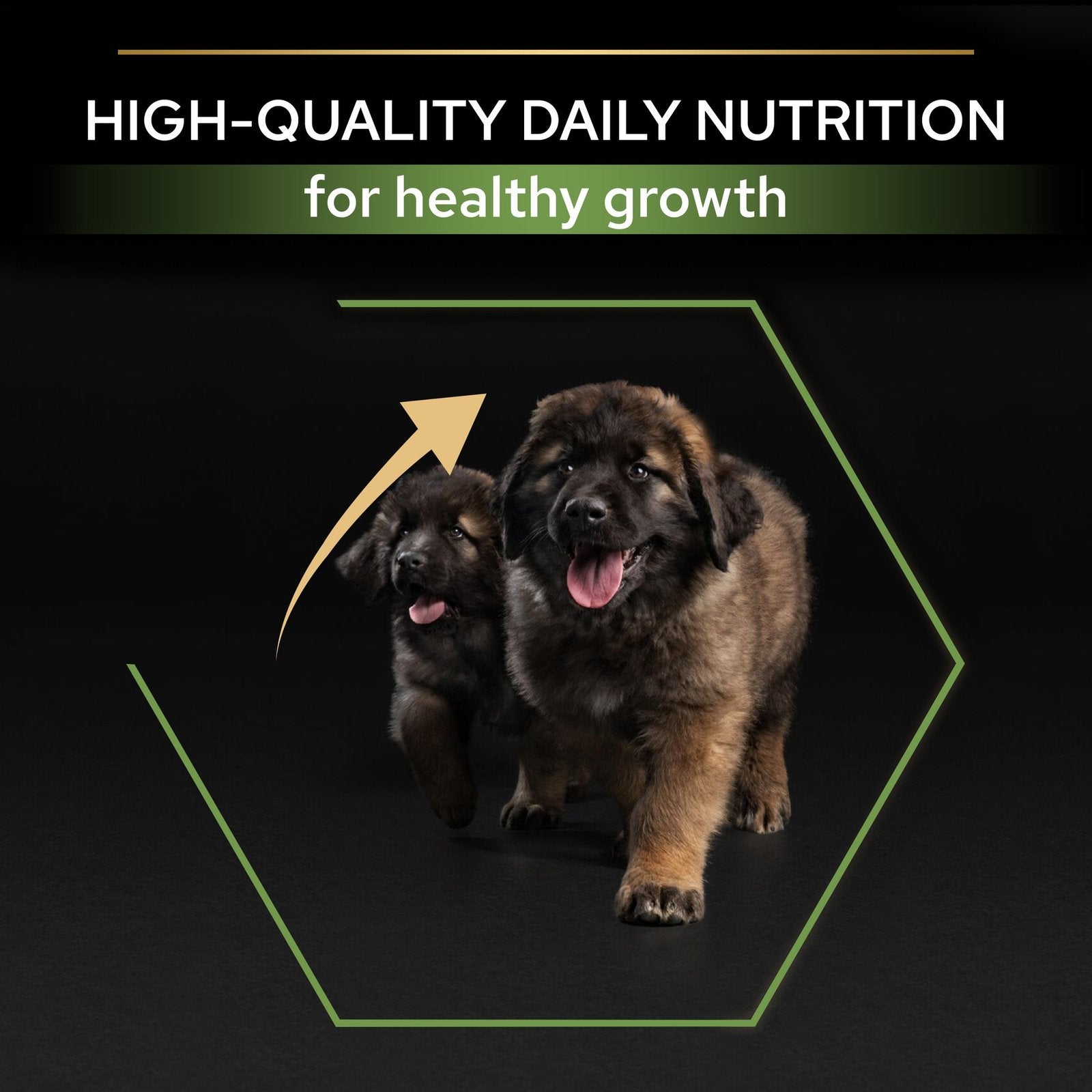 Purina Pro Plan Healthy Dry Food with Chicken for Dogs Up to 2 Years 18 kg