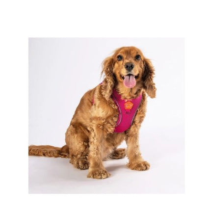 PAWSTAR Air-Mesh Harness Pink XL