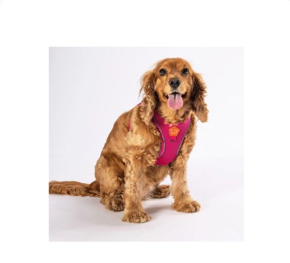 PAWSTAR Air-Mesh Harness Pink XL