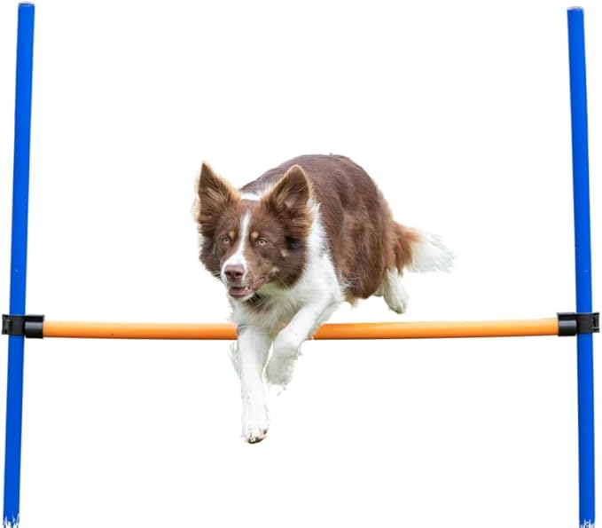 Zoofari Agility Hurdle 110 in 116 Cm 5 Pcs