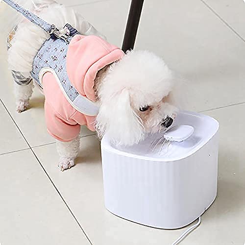 Naomi Pet Water Fountain With Lamb