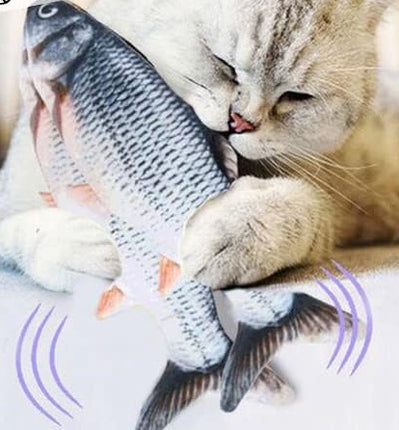 لعبة سمكة الحيوانات الأليفة من CAtyy بتصميم مختلط 