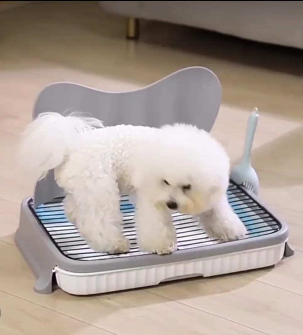 Dog Toilet Base Training Pad for Dogs