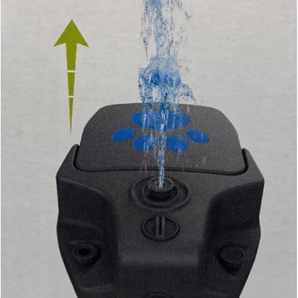 ZooFari Dog Step-On-Water