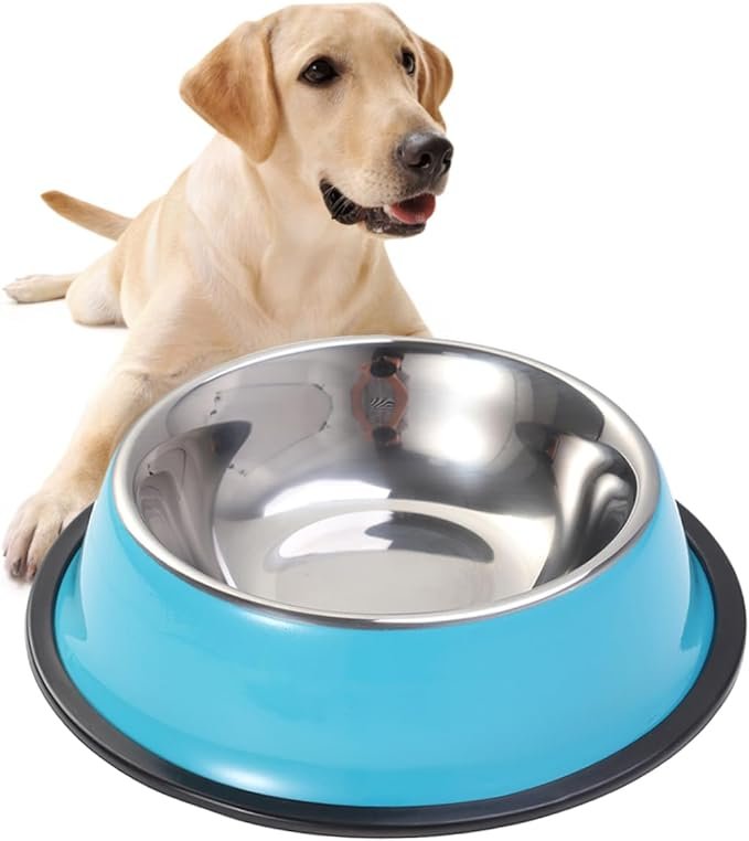 Stainless Steel Pet Bowl Regular Non Skid 22Cm