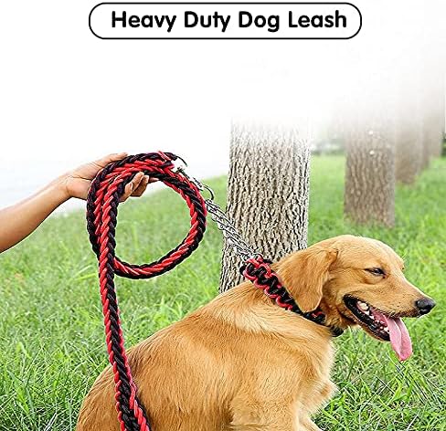 Egyptian Large Leash And collar for Dog 150 cm