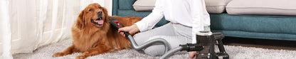 PET HAIR GROOMING KIT 9 pcs