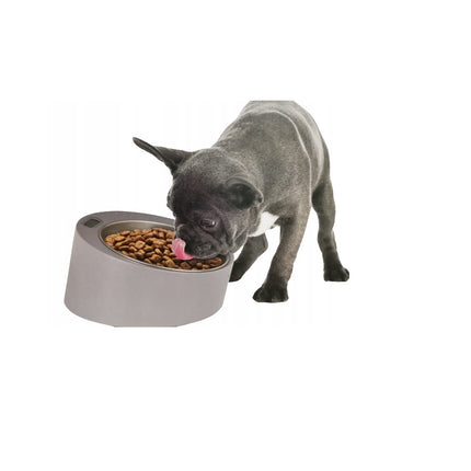 Zoofari Pet Feeding Bowl With Built in Scale Removable Stainless Steel