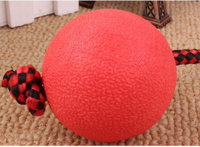 PawZilla Ball Toy With Rope