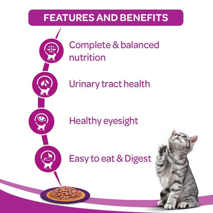 Whiskas Wet Cat Food with Duck for Adult Cats 80 gr