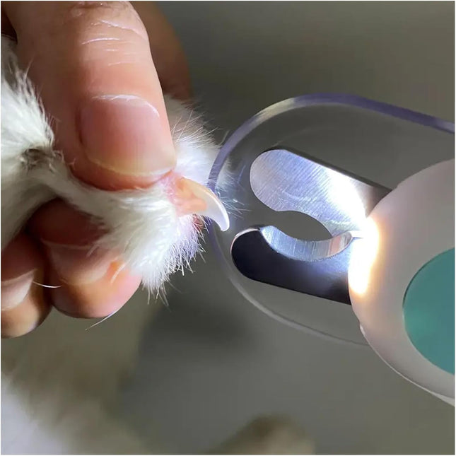 مقص أظافر الحيوانات الأليفة مع مبرد باللون الأبيض