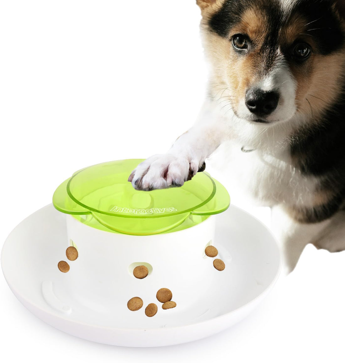 Dog Feeder Slow Feeder Adjustable Dispense Puzzle
