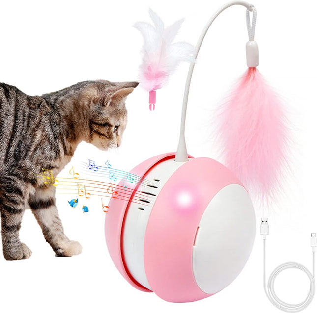 لعبة سمكة الحيوانات الأليفة من CAtyy بتصميم مختلط 