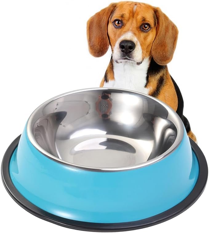 Stainless Steel Pet Bowl Regular Non Skid 22Cm