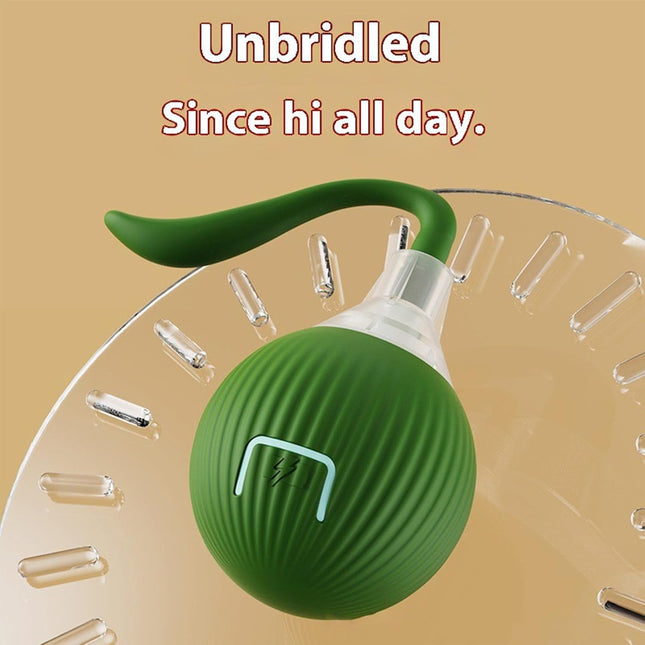 لعبة سمكة الحيوانات الأليفة من CAtyy بتصميم مختلط 